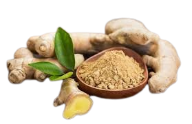 Ginger Powder