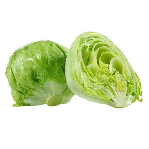 Lettuce