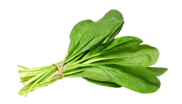 Spinach