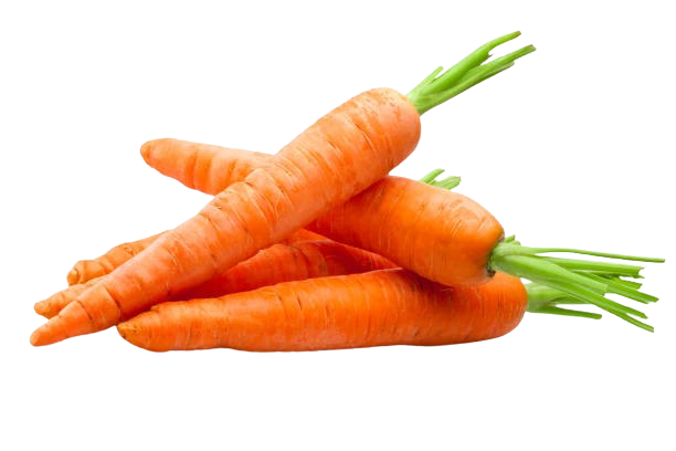 Carrot
